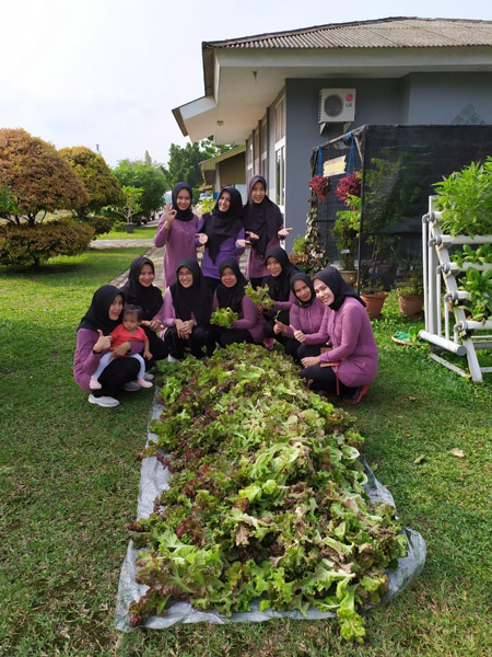  Gelar Panen Bersama, Vina Fardinal: Tanaman Hidroponik Bernilai Ekonomis